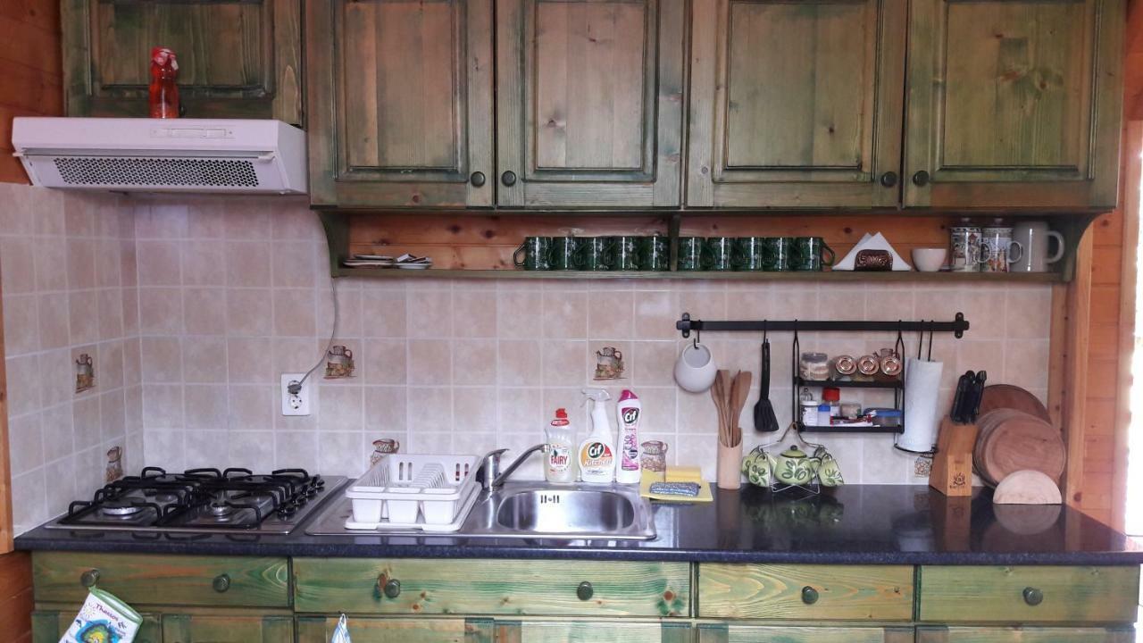 Vila Hunor-Magor Vendeghaz Izvoare  Exteriér fotografie