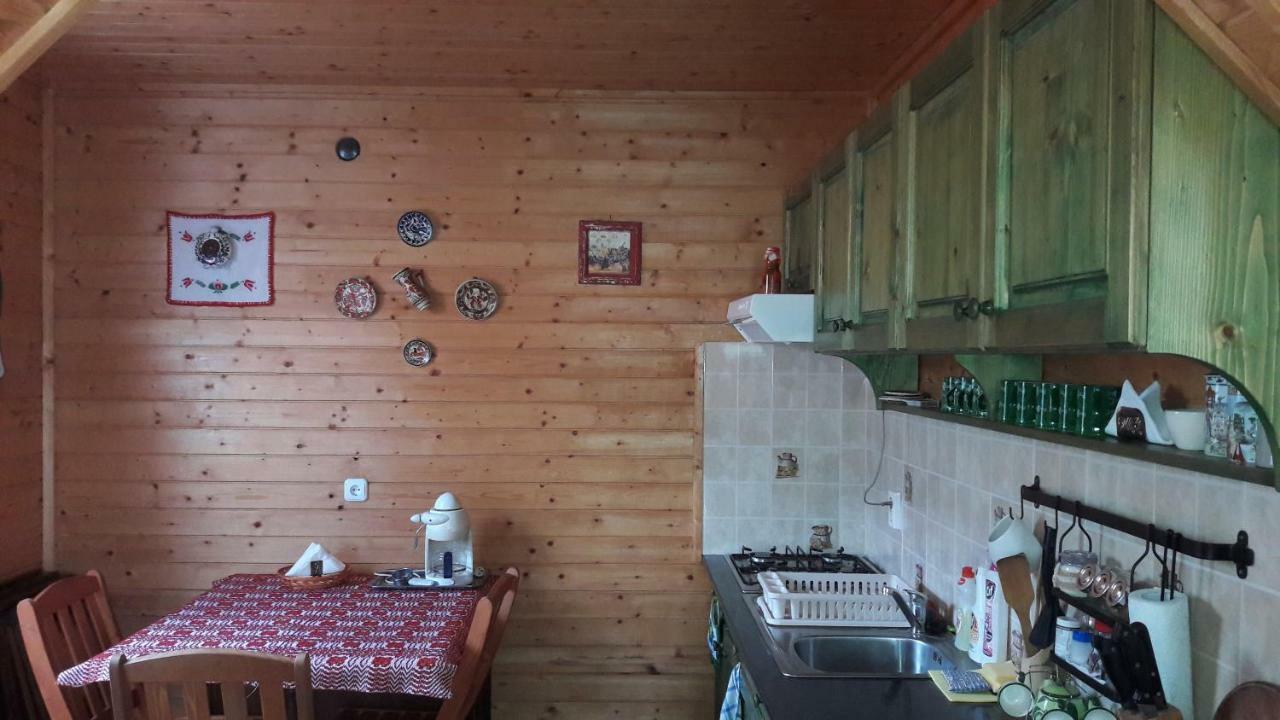 Vila Hunor-Magor Vendeghaz Izvoare  Exteriér fotografie